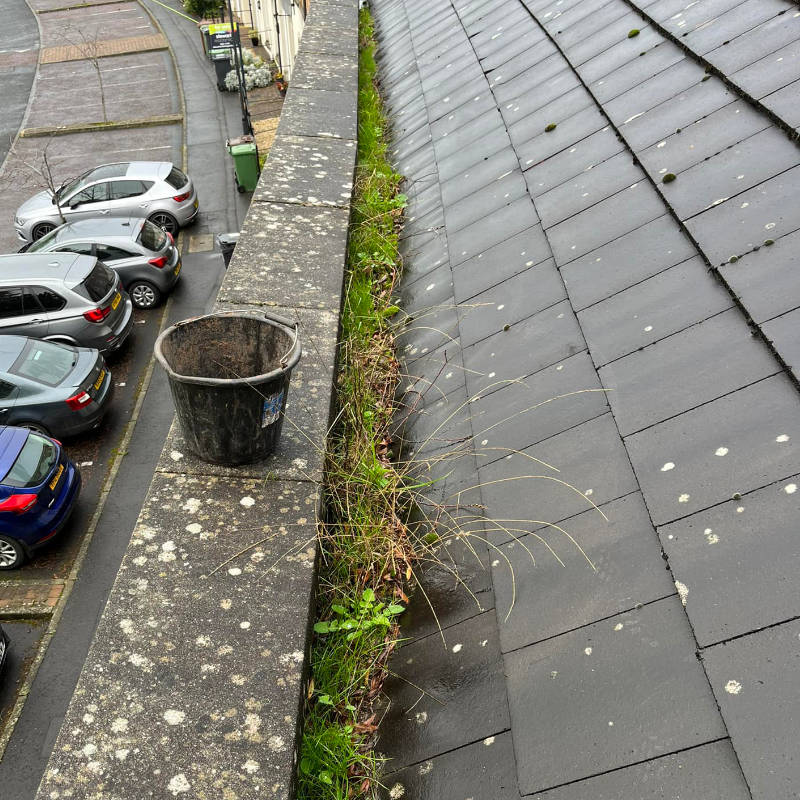 Gutter cleaning Hillsborough